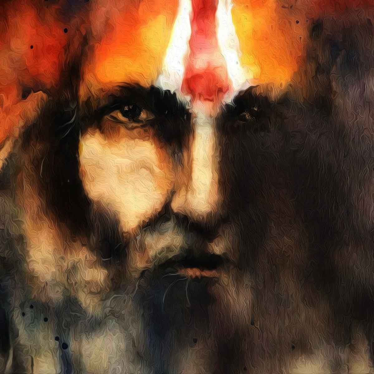 Hindu Lives Matter - Shailesh Meshram