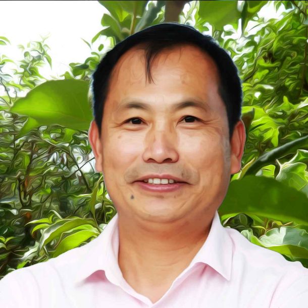 Fruity tales from Nagaland