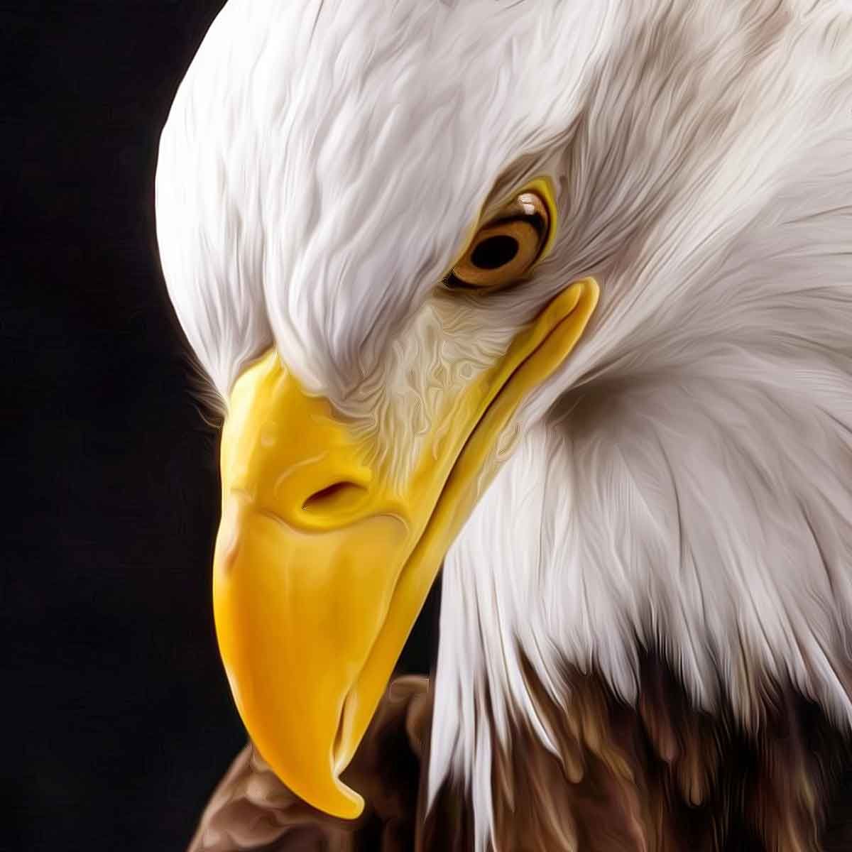 CBI carries out pan-India raids as part of 'Operation Garud'