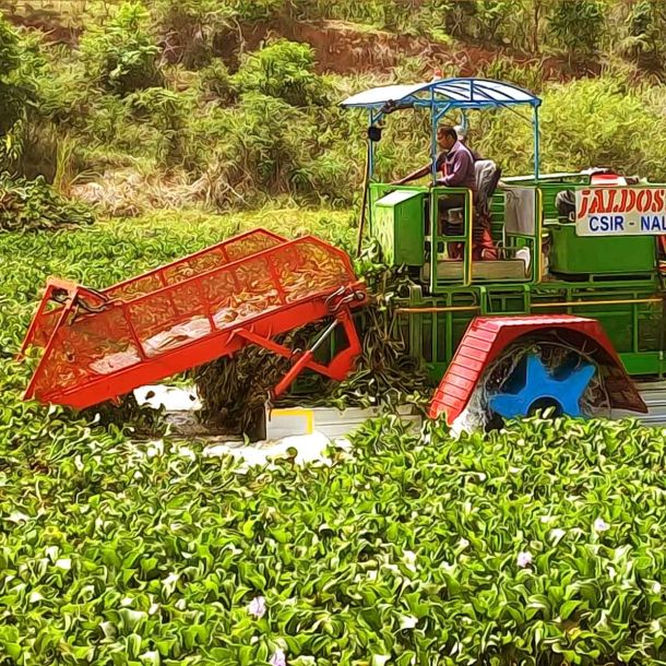 Bengaluru’s National Aerospace Laboratories unveils novel solution to clean lakes, water bodies